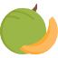 Žlutý-Melon-Ikonka